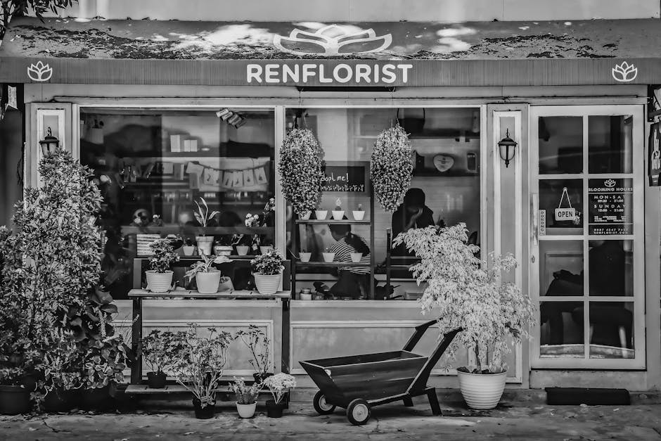 Black and white photograph of the exterior of Wealdstone Florist, featuring large glass windows displaying various potted plants and floral arrangements. Outside, there are several potted plants, incl
