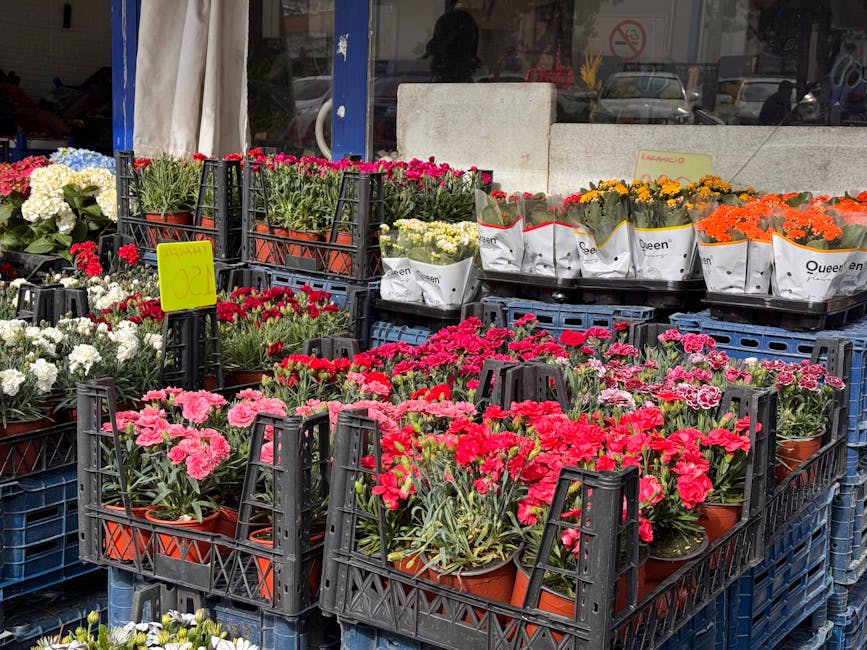An outdoor display of potted flowers arranged in black plastic crates, featuring vibrant pink, red, white, yellow, and orange blooms. The flowers include carnations and other flowering plants, with so